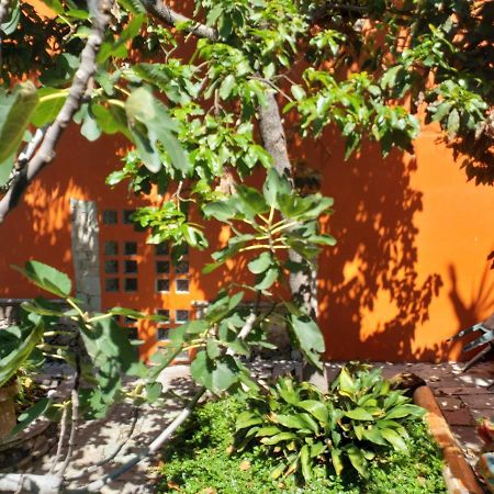 Ex Hacienda Apartment กัวนาฮัวโต ภายนอก รูปภาพ