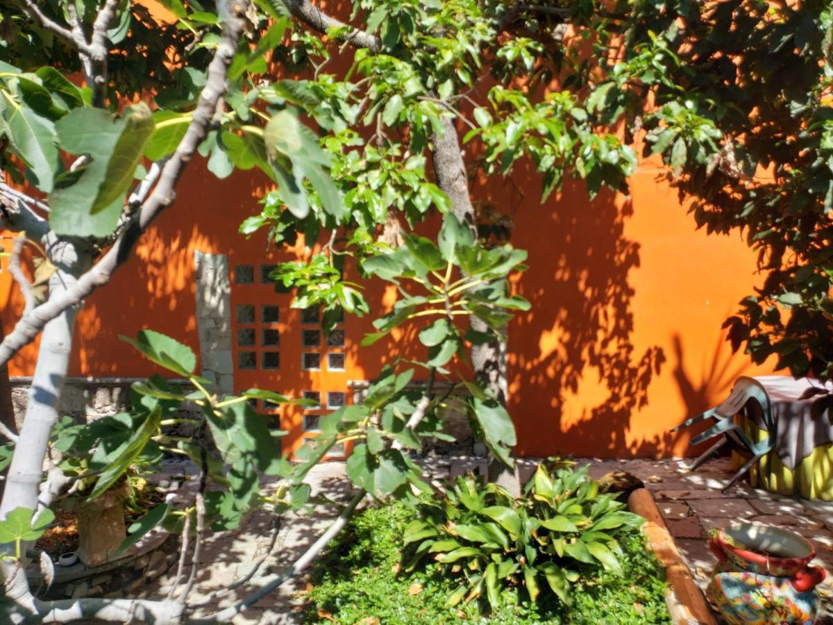 Ex Hacienda Apartment กัวนาฮัวโต ภายนอก รูปภาพ